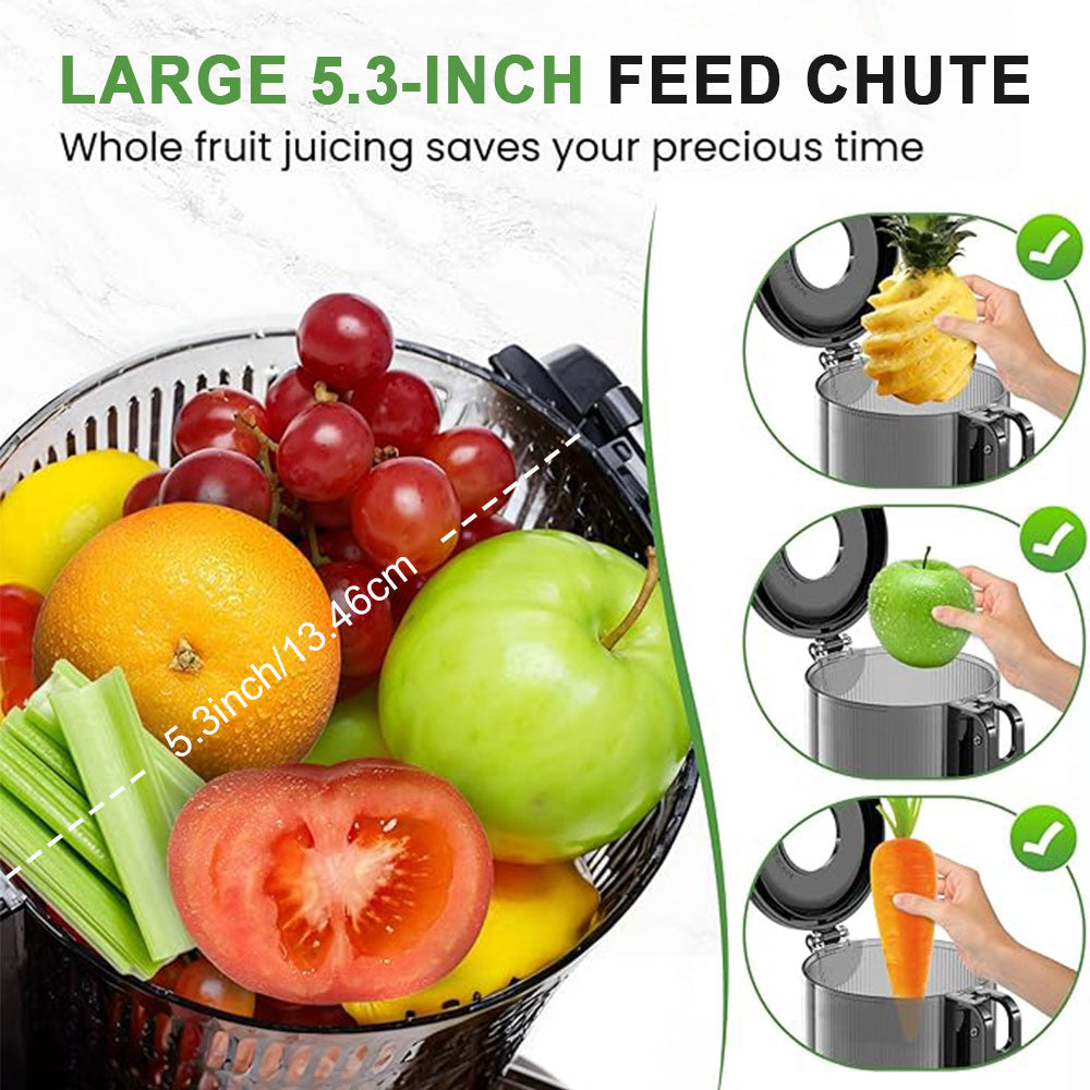 Cold Press Juicer, Celiberry Slow Masticating Juicer Machines with 5.3" Large