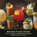 SPZK Digital Blender with Grinding Jar | Y5500DS